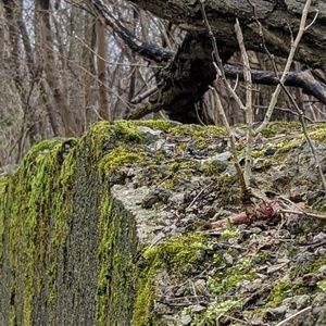 Meet your Posher, Becky